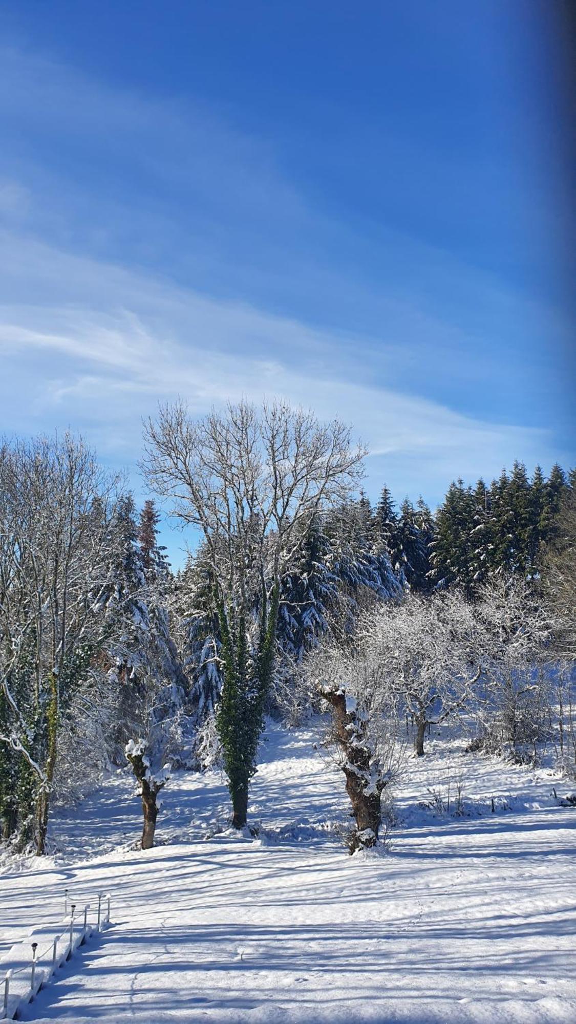 A L'Oree Des Volcans Sainte-Catherine  Extérieur photo