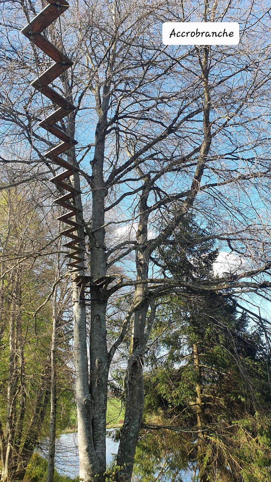 A L'Oree Des Volcans Sainte-Catherine  Extérieur photo