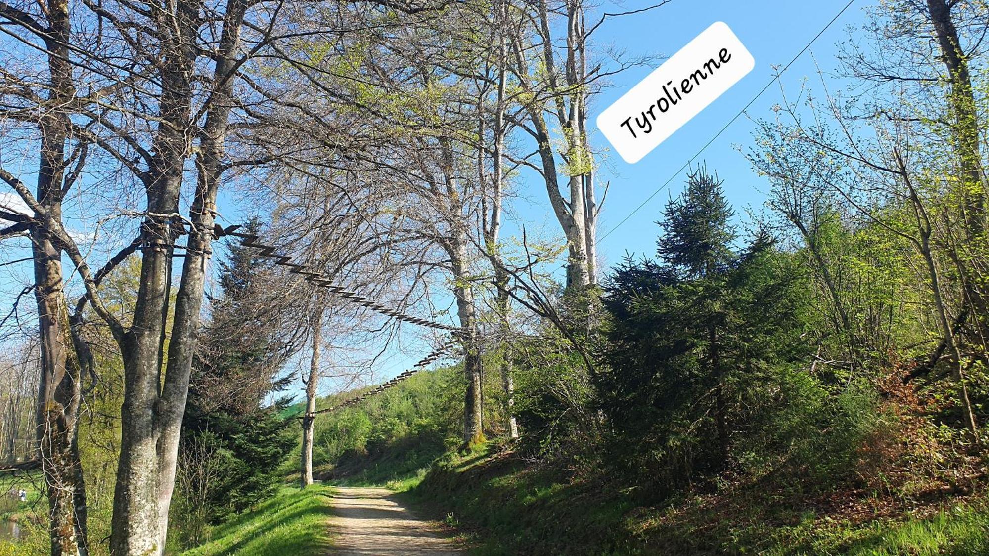 A L'Oree Des Volcans Sainte-Catherine  Extérieur photo